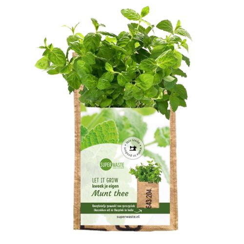 Hængehave - Billede 6